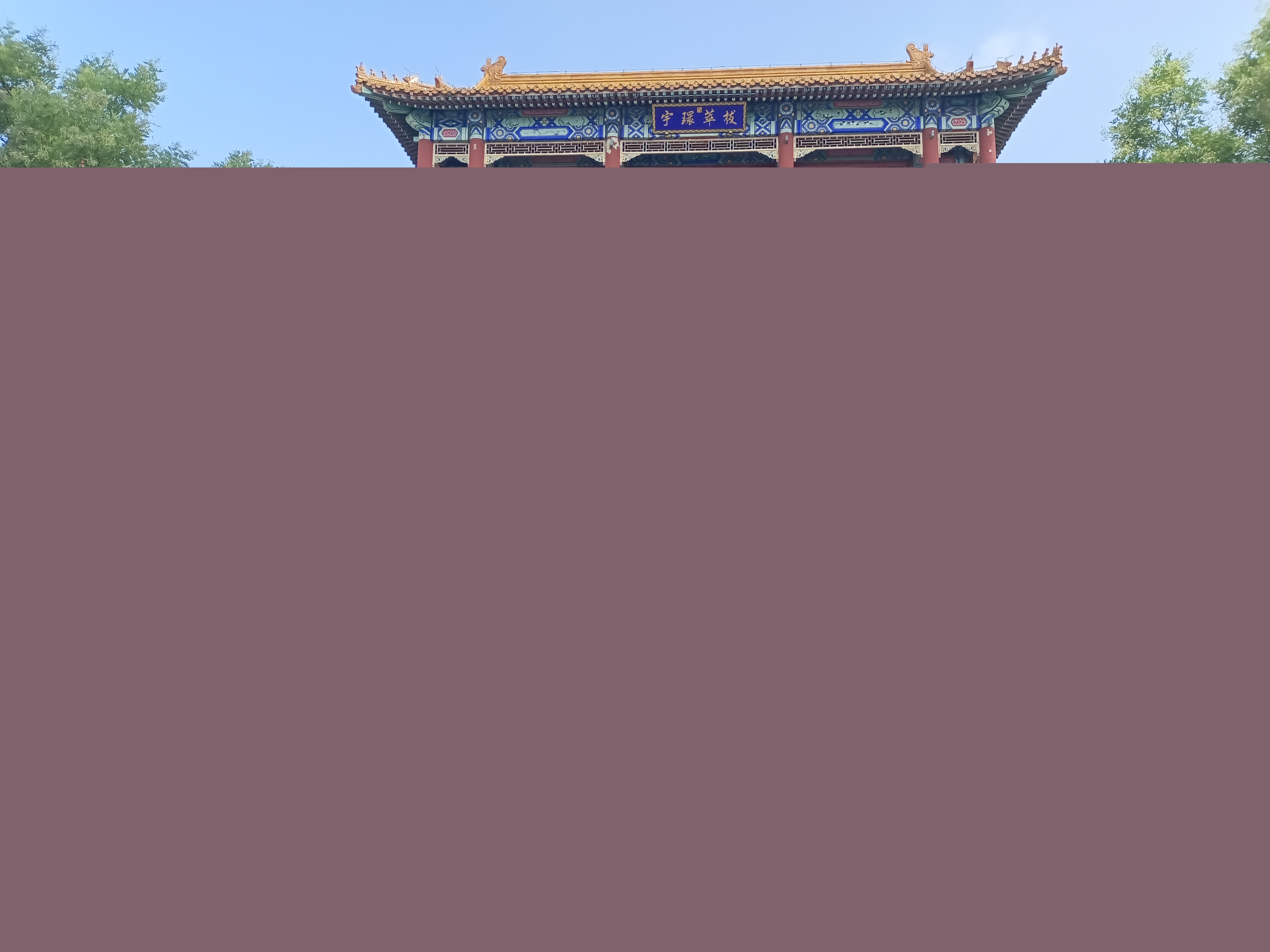 49533606.jpg